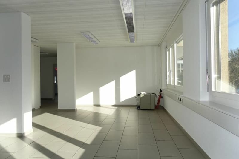 Grosszügige Gewerberäumlichkeiten im EG & UG (4)