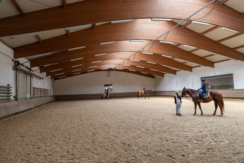 Reitsportimmobilie mit Wohnung/Einzelzimmer und Reitalle (1)