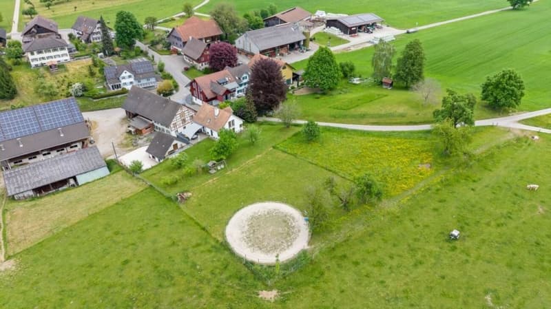 Bijou- Pferdeparadies! Einfamilienhaus mit Pferdestall (9)