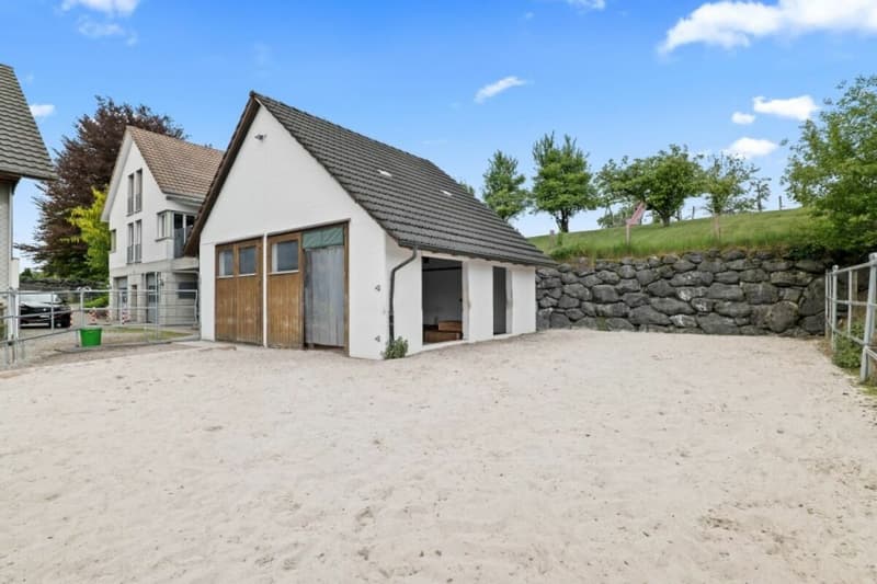 Bijou- Pferdeparadies! Einfamilienhaus mit Pferdestall (2)
