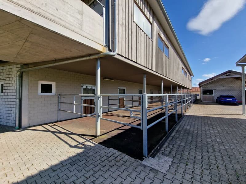 Top Angebot! Reitsportimmobilie mit Haus und Reithalle (40)
