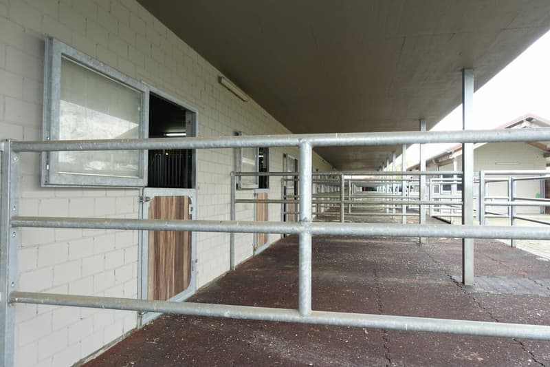 Reserviert! Reitsportimmobilie mit Haus und Reithalle (49)