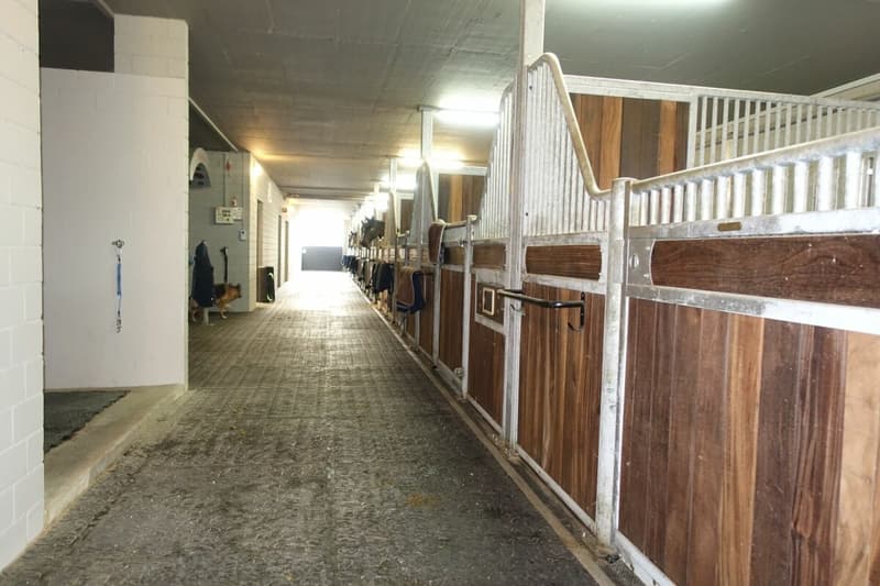 Reserviert! Reitsportimmobilie mit Haus und Reithalle (46)