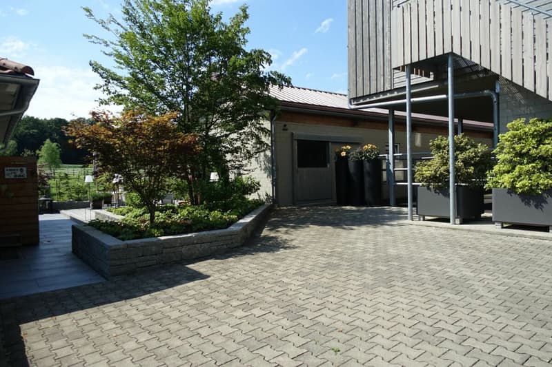 Reserviert! Reitsportimmobilie mit Haus und Reithalle (36)