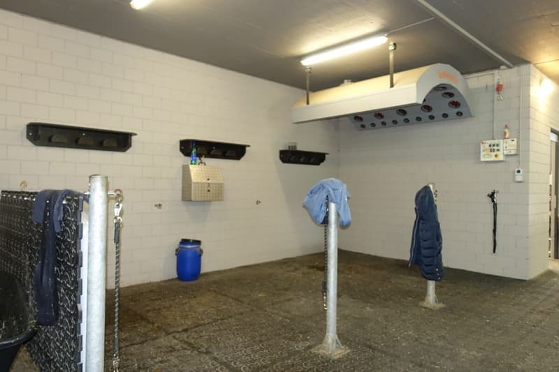 Reserviert! Reitsportimmobilie mit Haus und Reithalle (52)