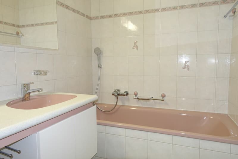 Neu renovierte 3.5 Zi-Eigentumswohnung (14)