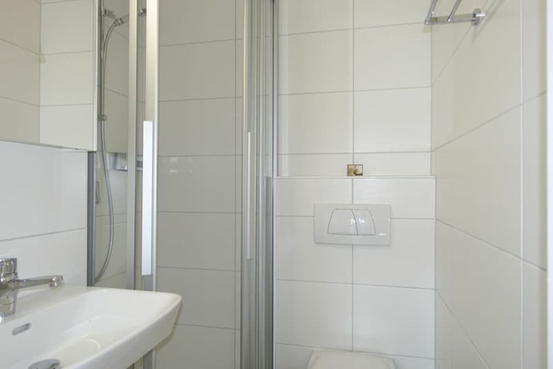 Neu renovierte 3.5 Zi-Eigentumswohnung (12)