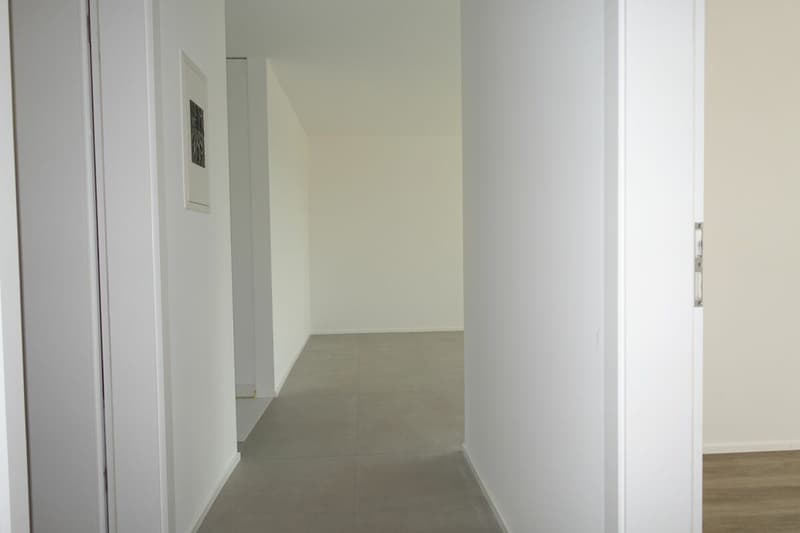 Neu renovierte 3.5 Zi-Eigentumswohnung (10)