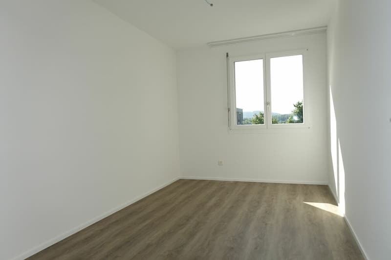 Neu renovierte 3.5 Zi-Eigentumswohnung (9)