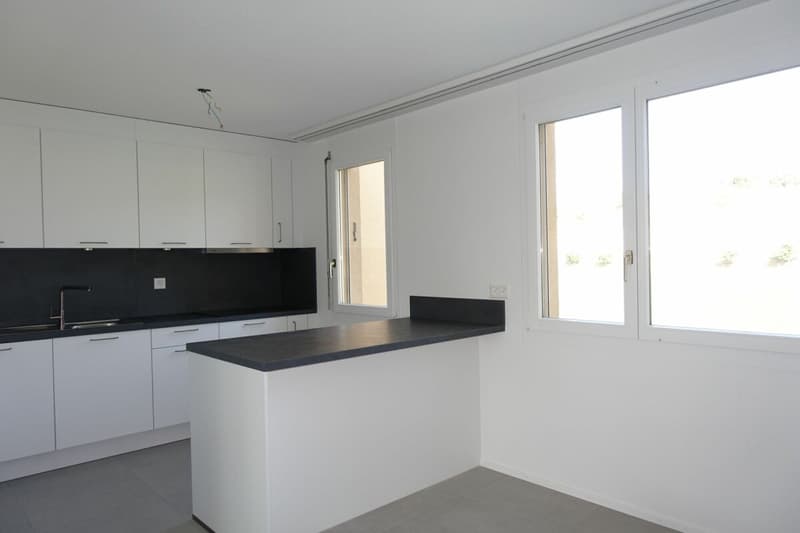 Neu renovierte 3.5 Zi-Eigentumswohnung (1)