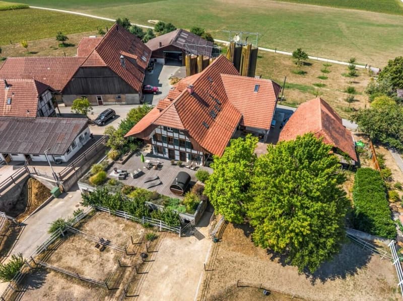 Aussergewöhnliches Landgut mit Reitanlage - eine Oase für Mensch und Pferd (76)