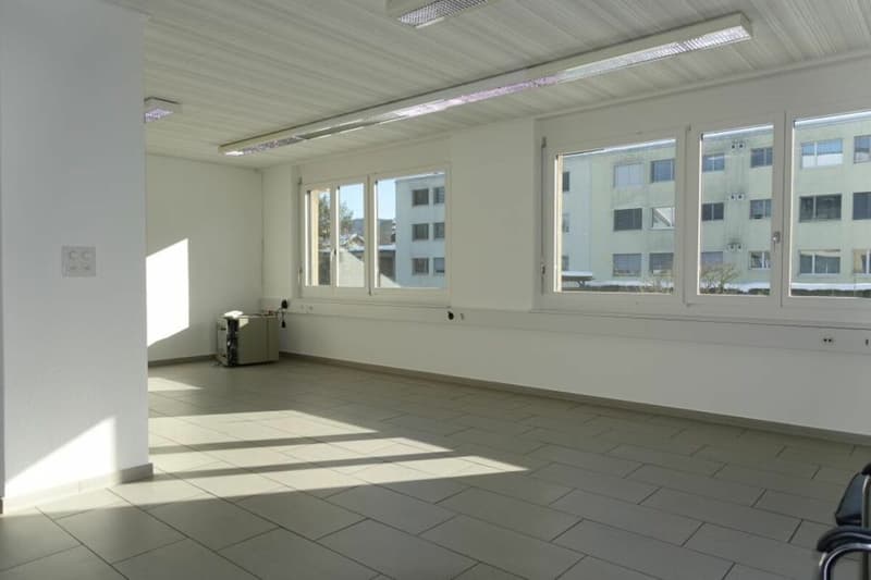 Einzigartige Gewerberäumlichkeiten im EG & UG (5)
