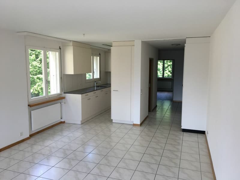 Letzte Gelegenheit! 3 ½ -Zimmer-Wohnung (1)
