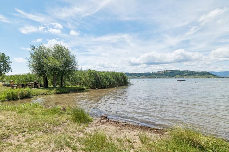 Murtensee vor der Tür - Exklusive 5.5-Zimmer-Dachwohnung (2)