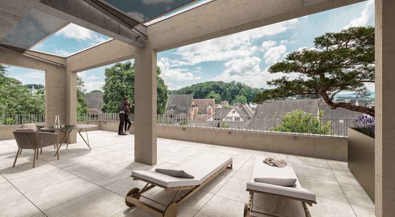 grosszügige, moderne und sehr helle Attikawohnung mit grosser Terrasse (1)