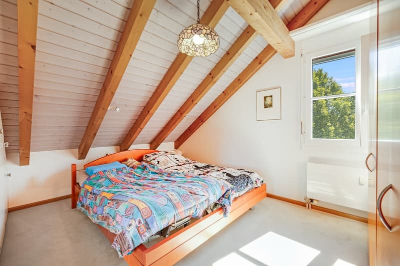 Traumhafte Dachwohnung an ruhiger Lage , Nahe vom Dorfzentrum (9)