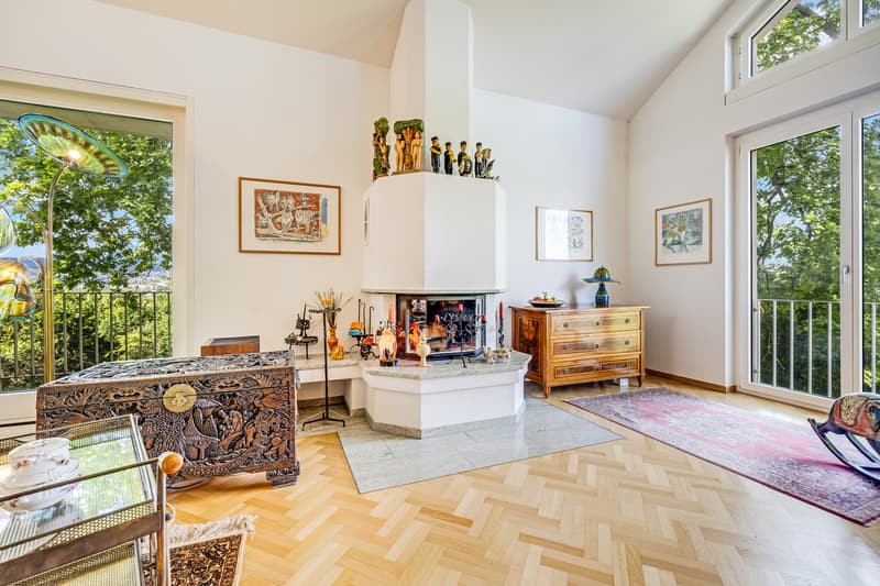 Einmaliges Anwesen auf 2'879 m² an bester Wohnlage (9)