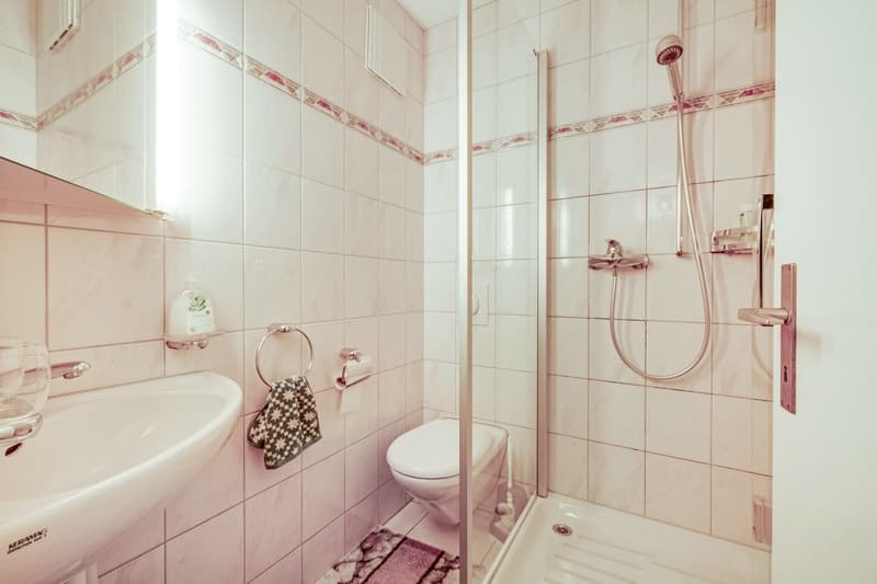 Ein Zuhause zum Verlieben - charmante Dachwohnung mit Sichtbalken (11)
