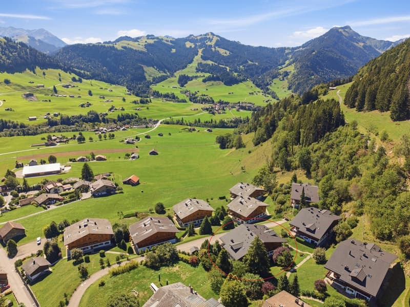 Alpiner Wohntraum mit Panoramablick in Château-d'OEx (5)
