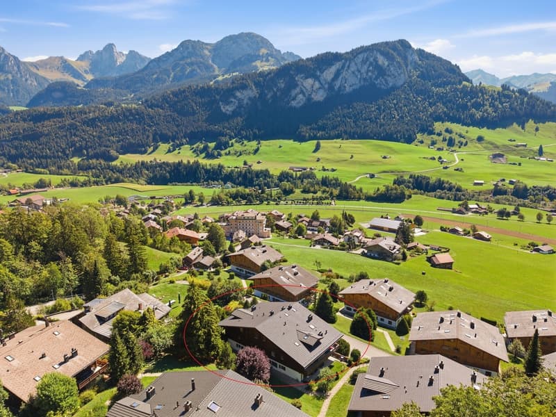 Alpiner Wohntraum mit Panoramablick in Château-d'OEx (4)