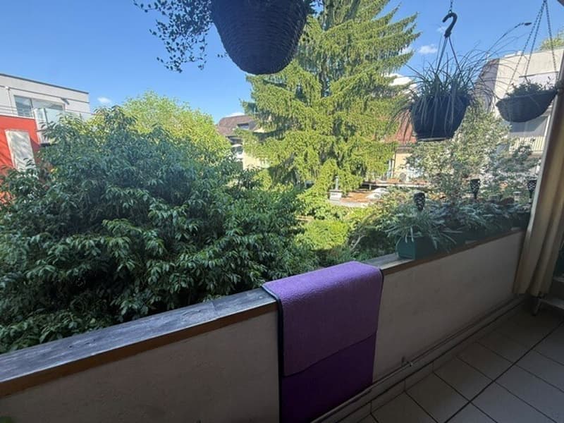 Zu verkaufen, Mietshaus, 4054 Basel, Ref. 6301501 (7)