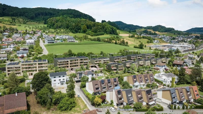 Visualisierung