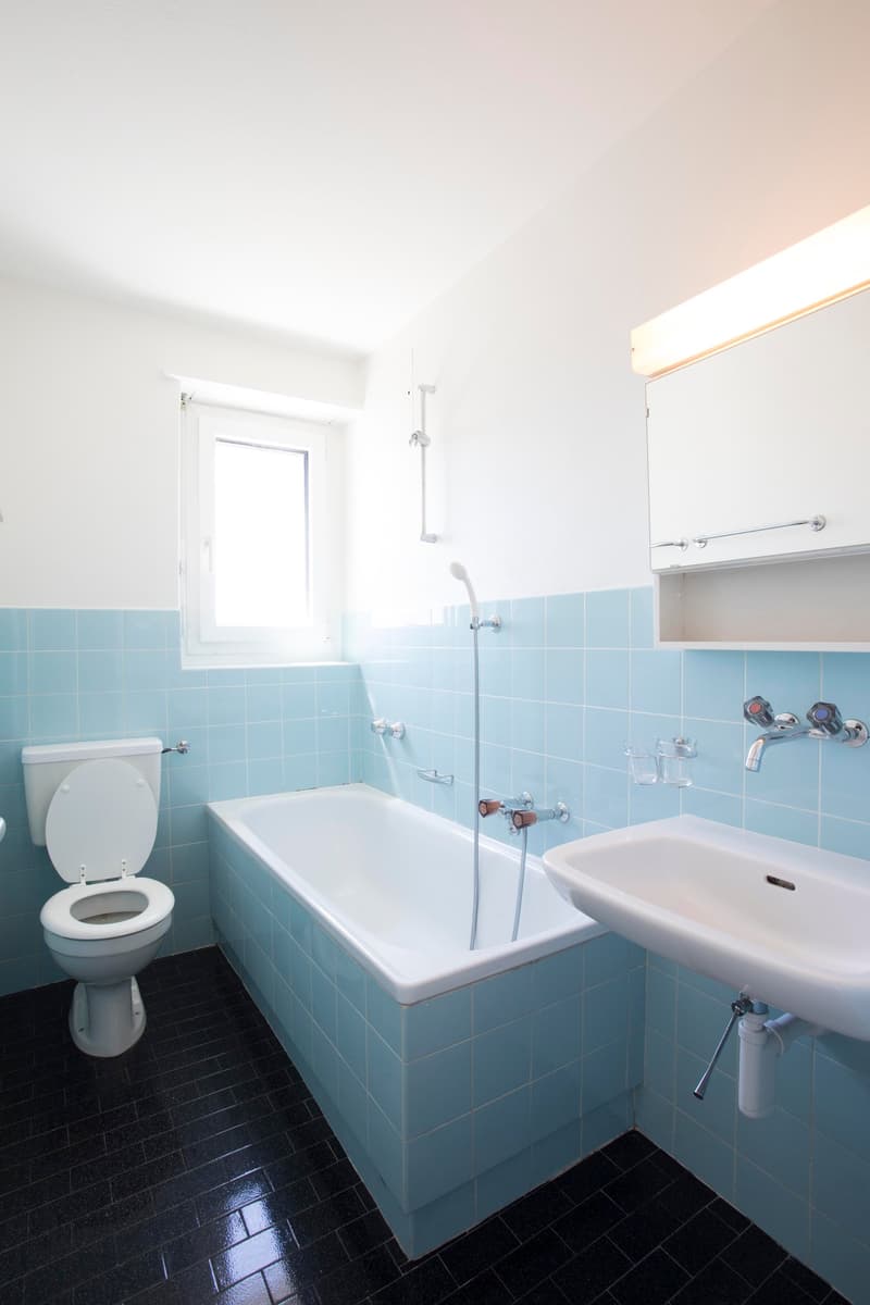 Helle 3-Zimmer-Wohnung mit traumhafter Aussicht (11-1001) (10)