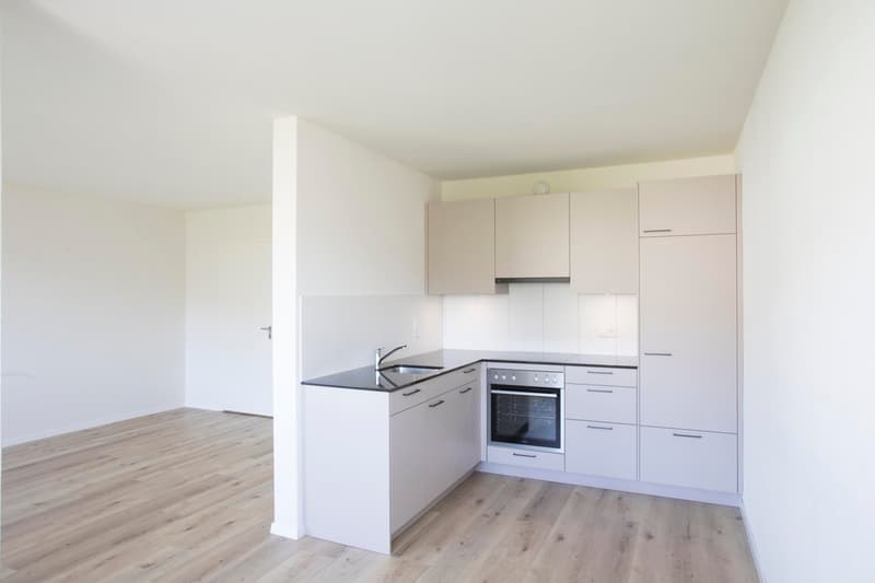 Helle 1.5-Zimmer-Wohnung im 4. Stock in Nidau – sofort verfügbar! (2)