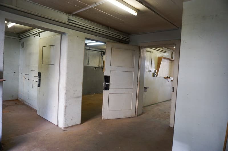 3-Räume Atelier / Werkstatt in Biel – Gurzelen | Atelier / local artisanal de 3 pièces (Gurzelen) (8)