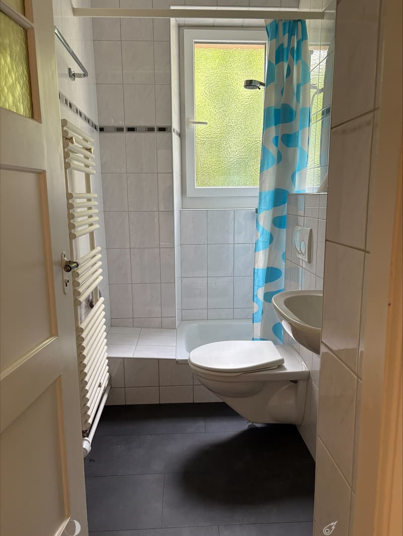 Charmante 3-Zimmer-Wohnung im Erdgeschoss in Biel (4)