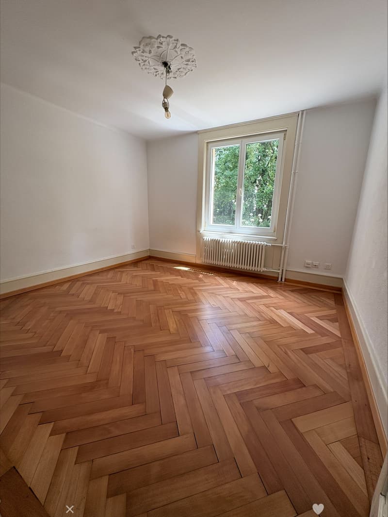 Charmante 3-Zimmer-Wohnung im Erdgeschoss in Biel (6)