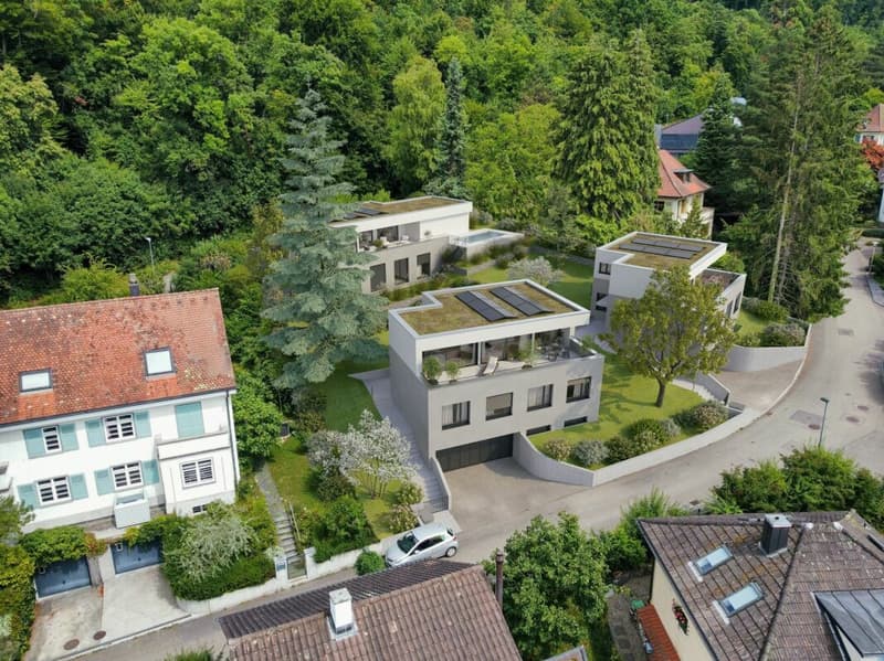 3 EFH Bodenweg-Waldstrasse, Ansicht vom Bodenweg