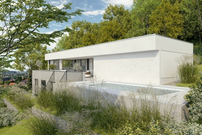 Wohnen mit Weitblick und in Einklang mit Natur!- Einfamilienhaus an begehrter Wohnlage (4)