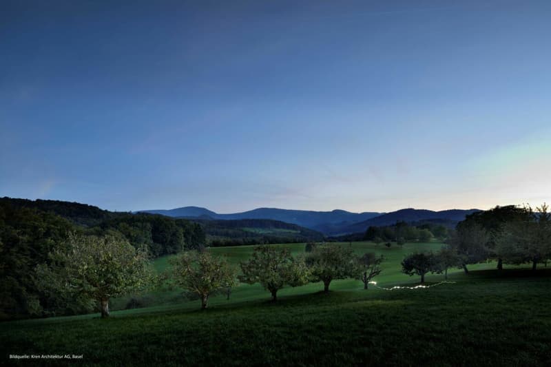 Ausblick vom Garten