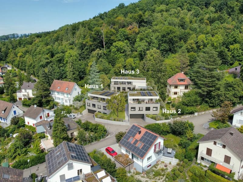 Wohnen mit Weitblick in Arlesheim, Freistehendes Einfamilienhaus, Nr. 2 (2)