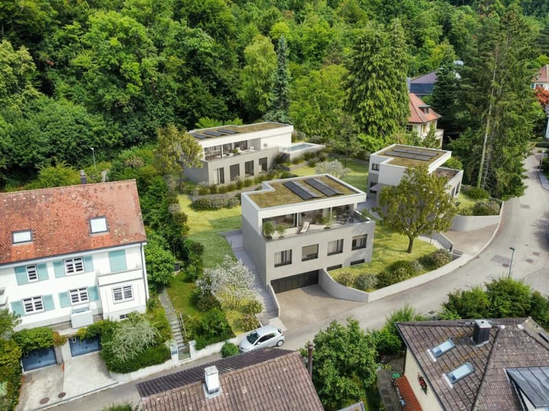 Wohnen mit Weitblick in Arlesheim!- Freistehendes Einfamilienhaus, Haus Nr. 1 (12)