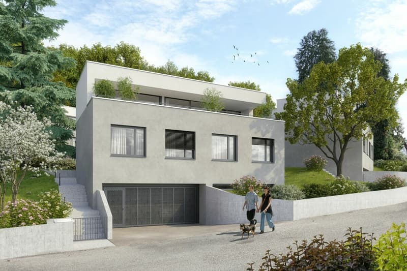 Wohnen mit Weitblick in Arlesheim!- Freistehendes Einfamilienhaus, Haus Nr. 1 (2)