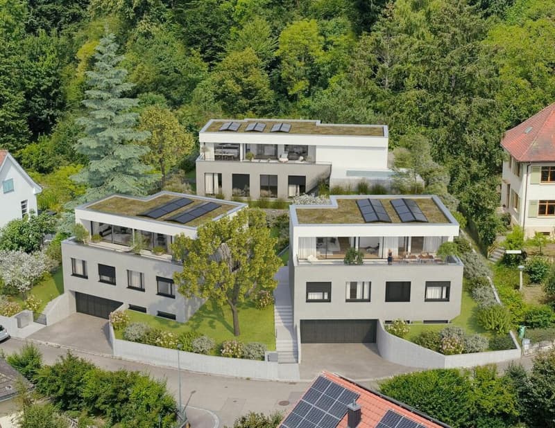 Neubau 6.5 Zi-Freistehendes Einfamilienhaus an privilegierter Wohnlage (3)