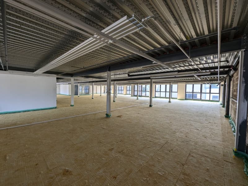 Commercial and office space in the up-and-coming industrial area (7)