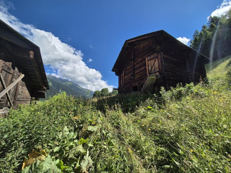 Typical Valais barn - shed with various parcels (7)