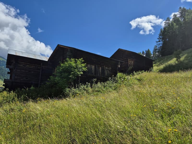 Typical Valais barn - shed with various parcels (2)