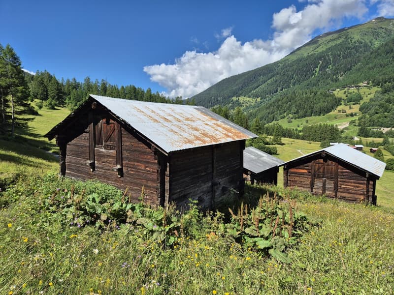 Typical Valais barn - shed with various parcels (5)