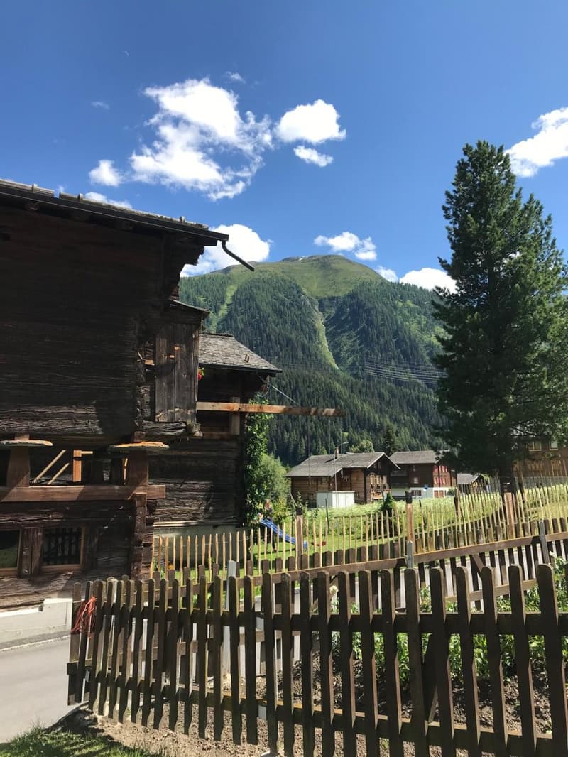 Stall zum Umbau in idyllischer Lage im Goms (6)