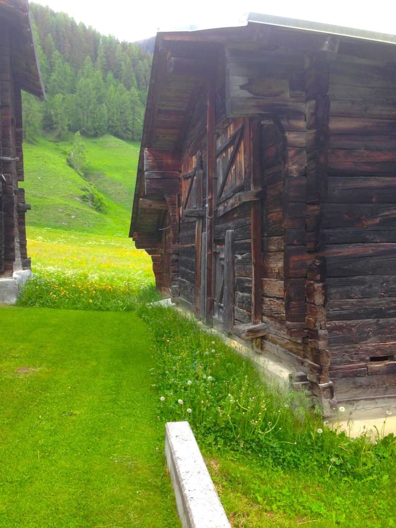 Stall zum Umbau in idyllischer Lage im Goms (3)