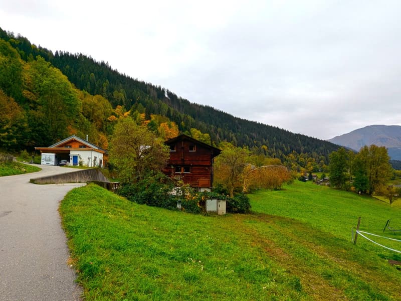 2 houses in a mountain area, surrounded by trees, with a road and open fields