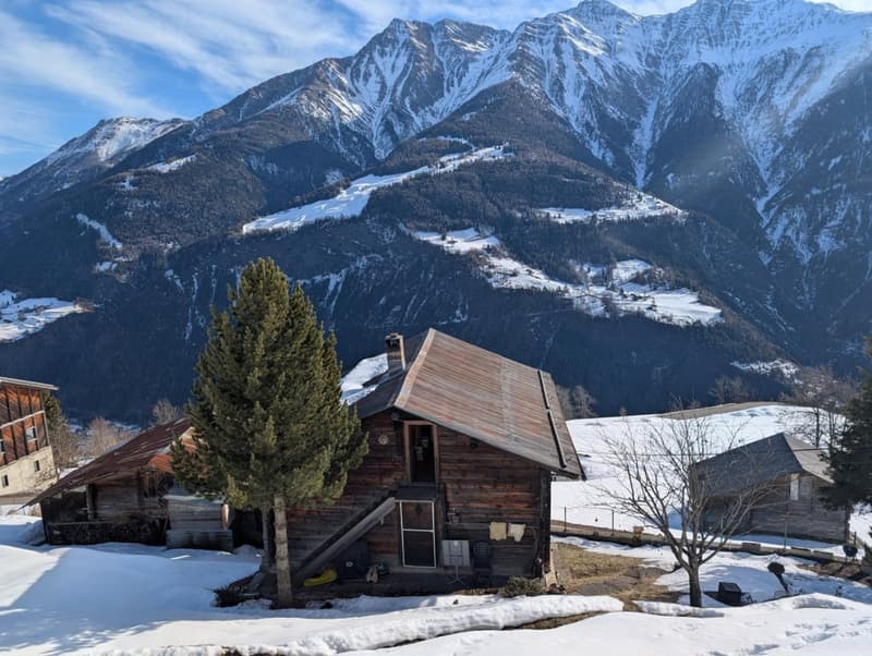Barn in typical Valais style (8)