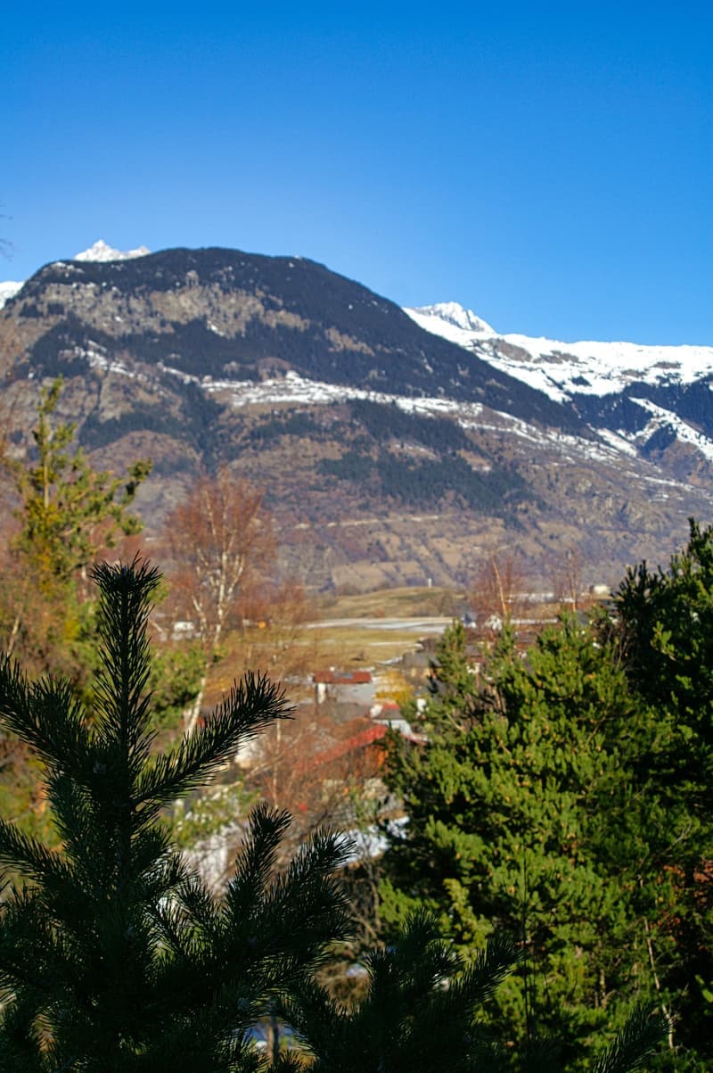 Fantastisches Bauland in ruhiger und unverbaubarer Lage (6)