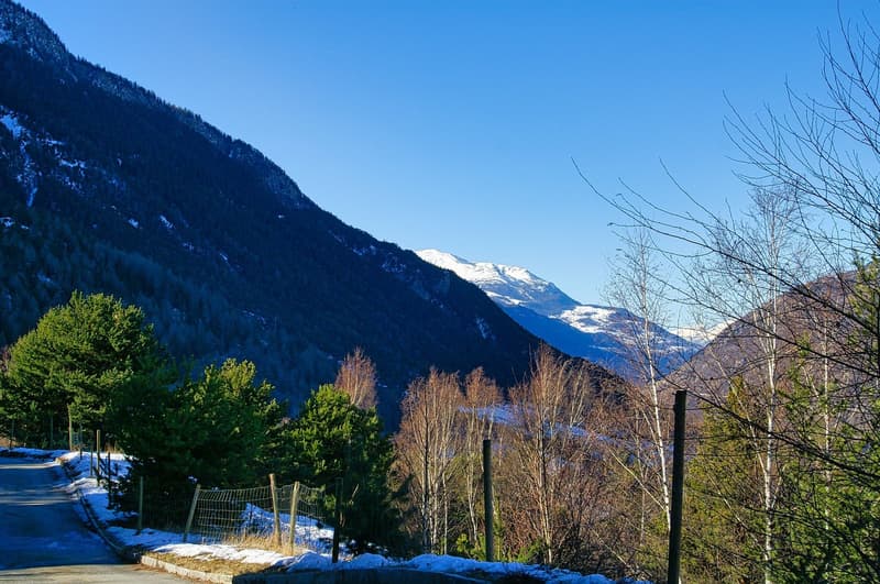 Fantastisches Bauland in ruhiger und unverbaubarer Lage (4)