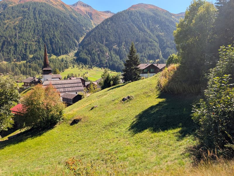 Idyllisches Bauland im Goms-Biel (1)