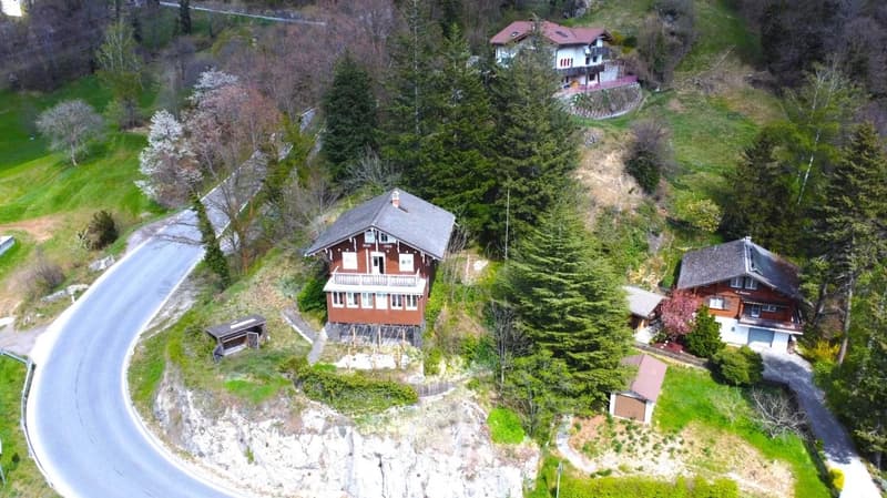 Aerial view of a two-story wooden chalet-style house surrounded by lush greenery, trees, and a winding road. The house has a balcony or terrace and appears to be situated on a raised ground floor. There are additional buildings and houses visible in the b